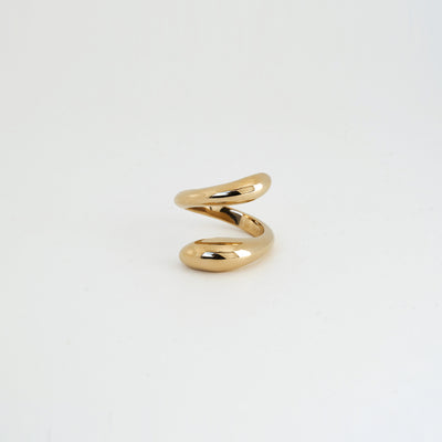 ARN 2 リング / ARN 2 RING