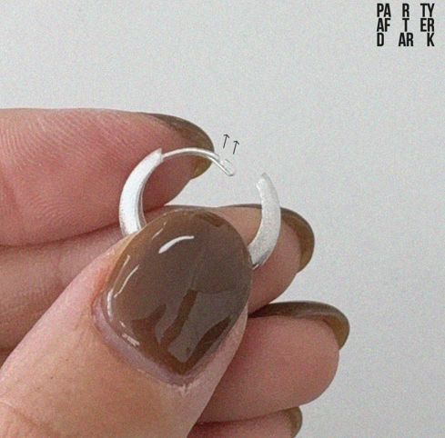 Daily Earring_S