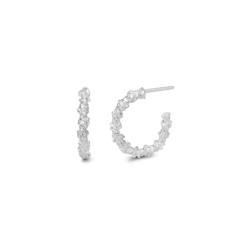 tb_135541_1